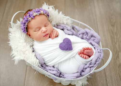 Newborn Girl Sleeping In Basket With Toy During Newborn Photoshoot