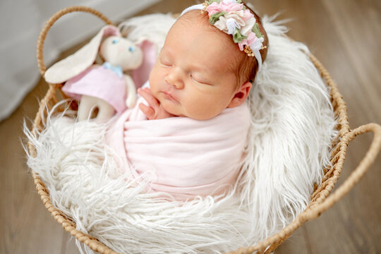 Newborn Girl Sleeping In Basket With Toy During Newborn Photoshoot