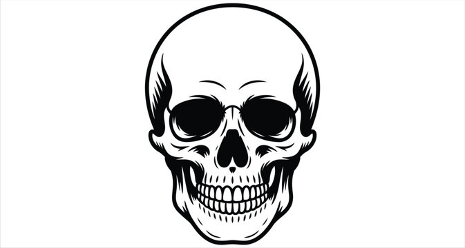 Black and white of a human skull with detailed teeth and eye sockets. skull, human skull, head, skeleton