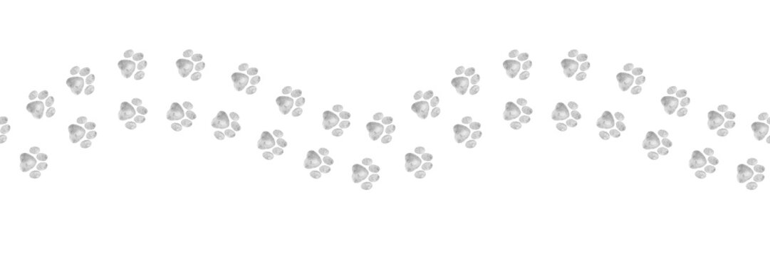 seamless paw print border with wavy arrangement of dog footprints watercolor art. Suitable for pet packaging, greeting cards, textiles, veterinary branding and animal themed projects.