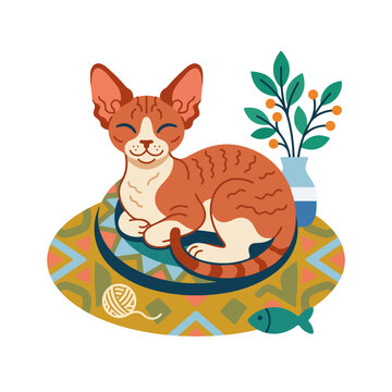 Devon Rex cat resting on a patterned rug. Cartoon pet vector illustration. Flat design isolated on white