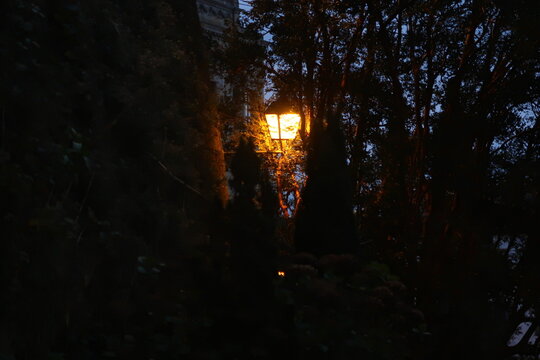 Farolillo iluminado