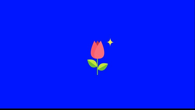 Animated tulip flowers blooming. Colorful flat design animation. Tulips growing on blue background with sparkles.