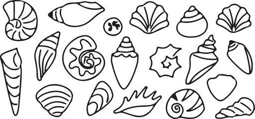Collection of various seashells and sea snails © Mst. Taslima Akhter