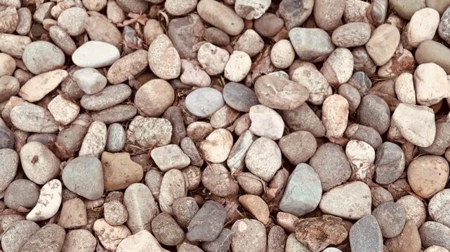 Closeup small stone pebbles on footpath showing neutral gray beige tones, coarse aggregate texture, tight crop, overhead