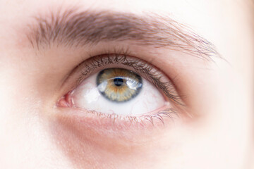 Fototapeta premium Close up human eye with green and hazel iris, eyebrow and eyelashes. Detailed ophthalmology and vision concept. Macro photography. Design for poster, banner, brochure, medical article. Macro shot