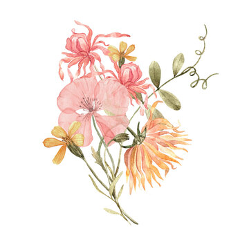 Hand painted watercolor bouquet with poppy, dahlia, calendula and botanical foliage. Decorative floral composition suitable for stickers, notebooks, branding, stationery and packaging projects