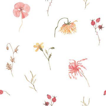 Seamless watercolor pattern with colorful dried autumn flowers and botanical elements. Bright hand painted floral composition for seasonal textile and decor