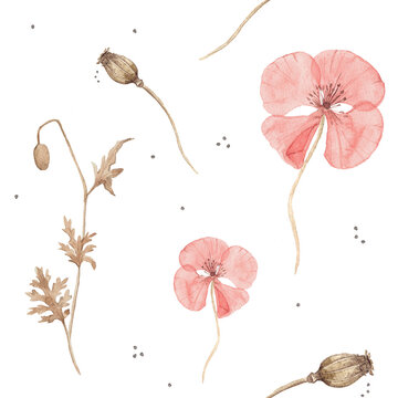 Seamless watercolor pattern with poppy seed pods, buds and dried stems. Delicate botanical herbarium design in soft blush tones