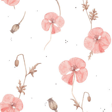 Seamless watercolor pattern with dried poppy flowers, seed pods and botanical elements. Soft pastel pink herbarium style