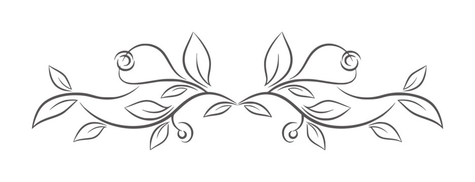 Dark grey vine with leaves and buds white floral scroll