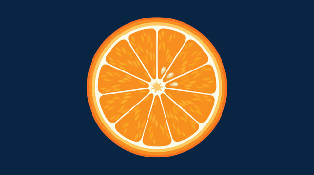Stylized Flat Vector Orange Slice Cross Section on Dark Background