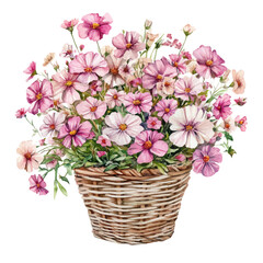 Fototapeta premium Stock Bouquet In A Basket, vector watercolor, painting isolated on a white background.