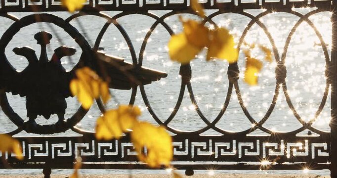 picturesque metal railings with a double-headed eagle and the crown of the Russian Empire through the yellow leaves on embankment in St. Petersburg, sunny autumn day, incredible sun glare Russia