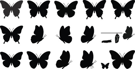 Black butterfly silhouettes collection depicting life cycle stages isolated on a plain white background. © Fazla Rabbi