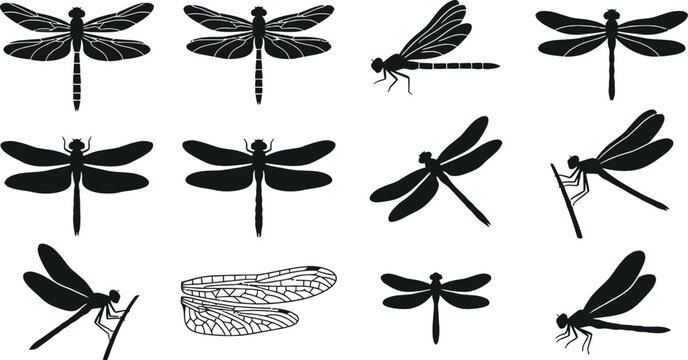 Set of dragonfly silhouette icons isolated on white background.