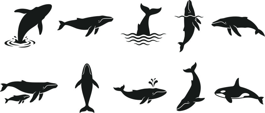 Set of whale silhouette icons isolated on white background.
