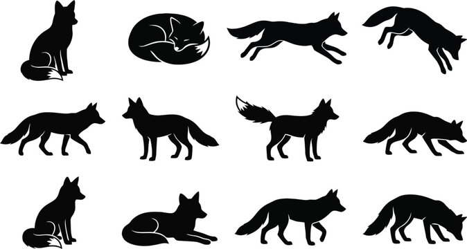 Set of black fox silhouettes in various poses and movements isolated on a white background for design layouts.