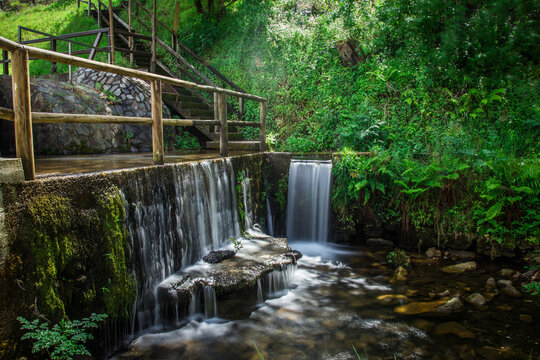 Enjoy the simple of nature