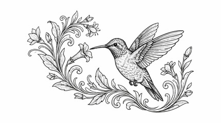 Hummingbird feeding on a delicate floral branch illustration. © azka
