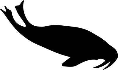 Marine Life and Sea Creatures Silhouette Collection © kihun