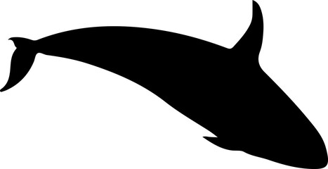 Marine Life and Sea Creatures Silhouette Collection © kihun