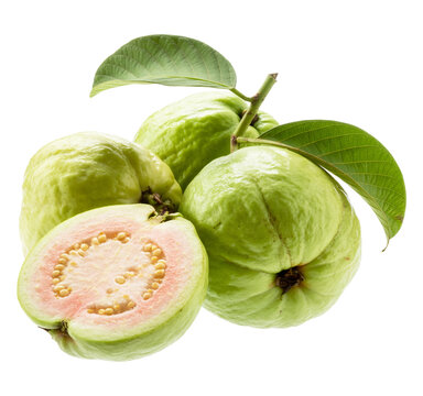 Fresh green guavas with leaves and one cut open showing pink interior  healthy tropical fruit  isolated on transparent background