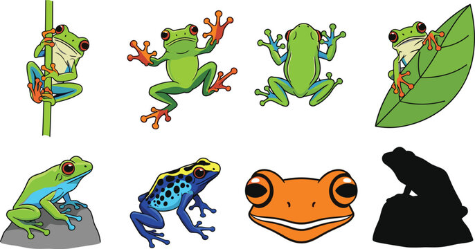 Tropical Tree Frog and Poison Dart Vector Icon Set with Green Amphibians Climbing Leaves Rocks and Silhouettes