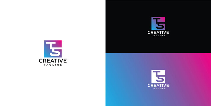 Modern and elegant intertwined initial letters TS logo design, featuring a vibrant gradient color palette, perfect for contemporary business branding and creative corporate identity solutions