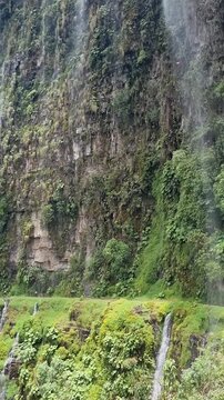 famous death road in the bolivian jungle