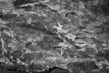 Rough rocky surface of a large boulder close up in black and white © Hamilton Productions