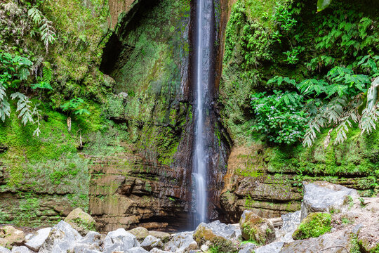 Salto do Rosal waterfall, Sao Miguel, Azores. Narrow waterfall drops into a rocky pool. Mossy cliffs and verdant foliage surround the cascade. Portugal.