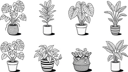 Black and white line art vector illustration set of potted house plants monstera and tropical foliage indoor greenery © Md