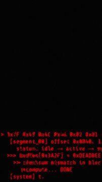 Red Glitch Terminal Code Scrolling Vertical Animation