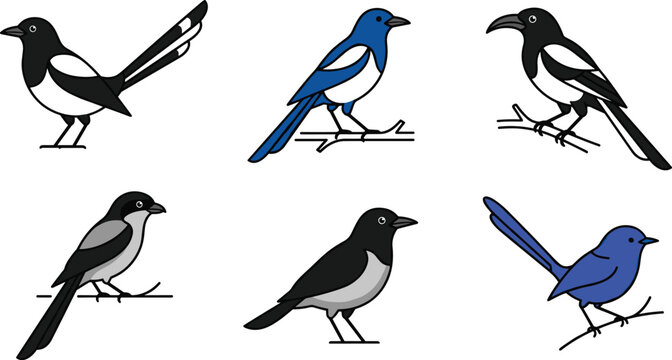 Flat vector illustration set of cartoon magpie and songbird characters perched on branches isolated on white background