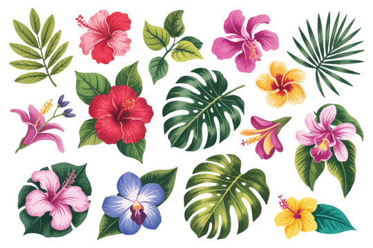 Set of tropical flowers and palm leaves. vibrant hibiscus, orchids, and monstera foliage for exotic themes.