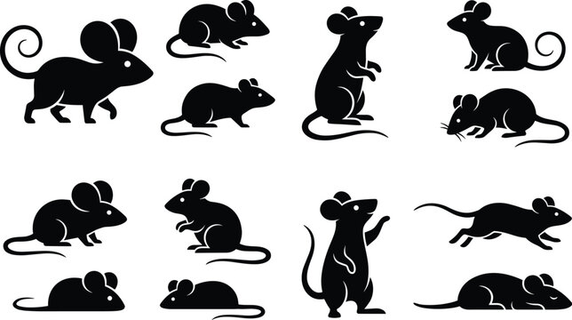 Mouse silhouette vector set with cute cartoon rats in standing running and sitting positions isolated on white background