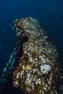 Underwater view with wreckship in Tulamben, Bali