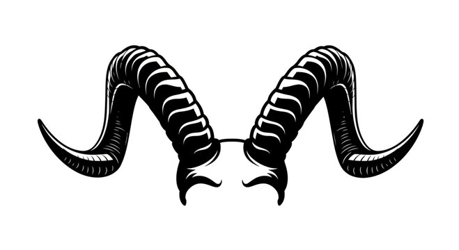 Black and White Engraving Style Ram Horns Illustration