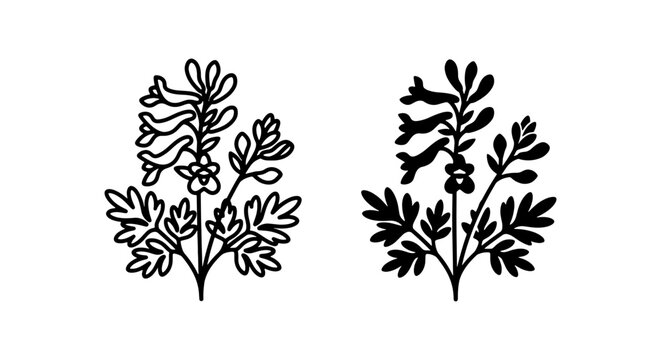 Elegant Corydalis Flower Vector Illustrations, Delicate Botanical Line Art, Black and White Floral Graphics, Nature Design Elements