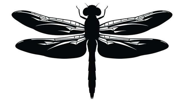 Dragonfly silhouette against a white background detailed wing venation