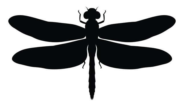 Black Dragonfly Silhouette On White Background Insect Shape Design