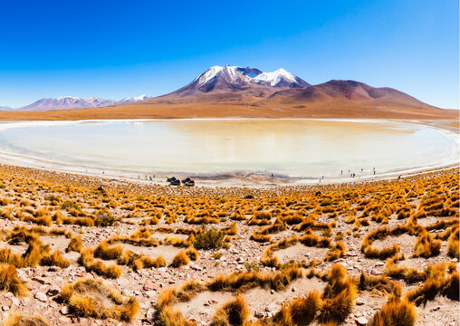 Laguna Blanca, Altiplano, Bolivia