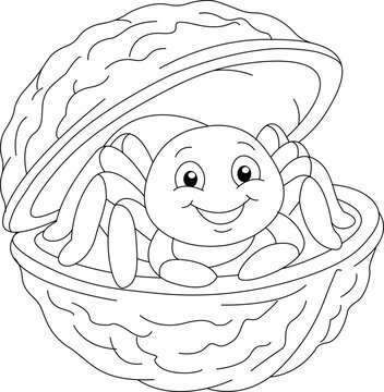 Cute Baby Spider Sitting Inside a Walnut Shell Coloring Page for Kids
