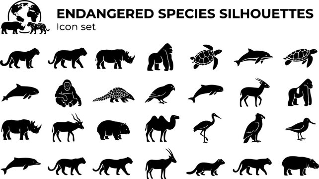 Endangered Species Silhouette Icon Set Snow Leopard Amur Tiger Black Rhino Mountain Gorilla Hawksbill Turtle Vaquita Orangutan Pangolin Kakapo Irrawaddy Dolphin Saola 25 Icons Editable Strokes Flat 