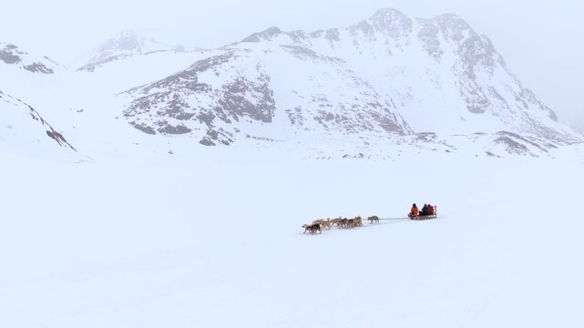 Aerial view of a dog sled team crossing a vast snow-covered landscape with snow-capped mountains in the background Tasiilaq, Sermersooq Municipality, Greenland.