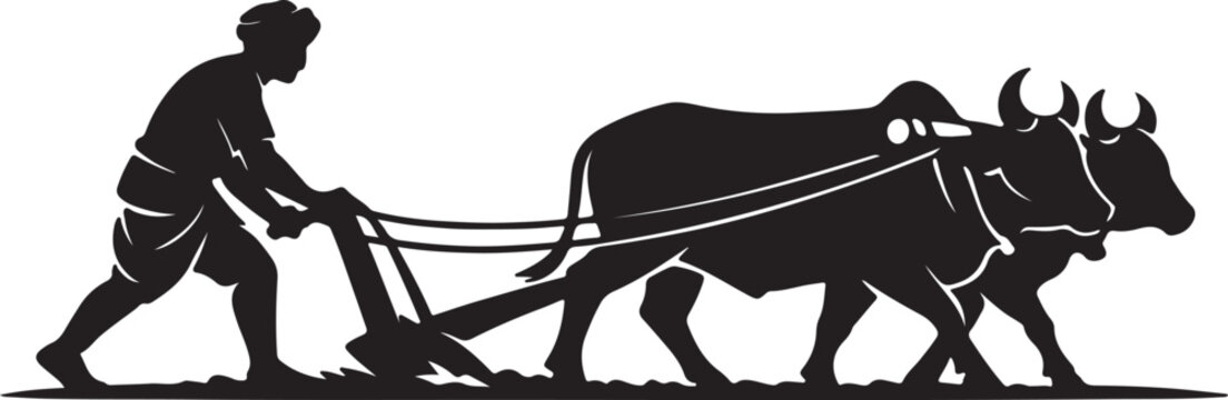 Agricultural Farmer Plowing Field With Bullocks
