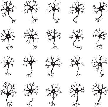 A set of black silhouette depicting various neuron cells with dendrites and axons isolated on a plain white background, also transparent background