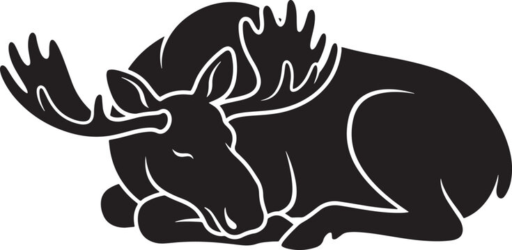 Moose lying down sleeping with large antlers on white background