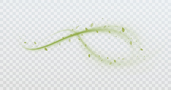 Abstract wind swirls with green leaves and sparkling glitter isolated on white background. Fresh nature design featuring dynamic airflow, vibrant foliage and elegant motion effects.